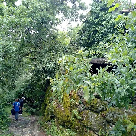 Casa De Fora Tatil Evi