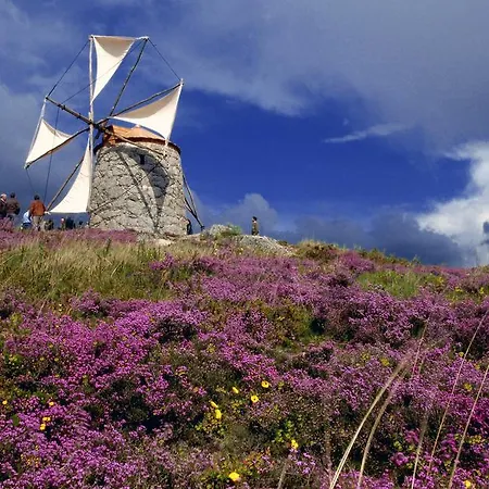 Casa De Fora Aboim (Braga)