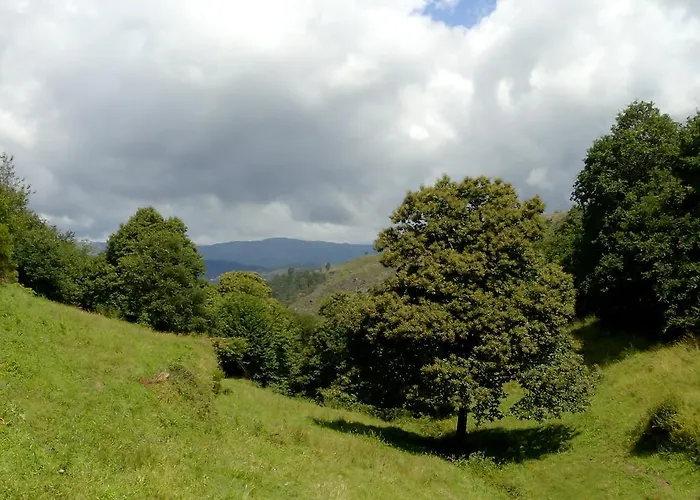 Hébergement de vacances Casa De Fora